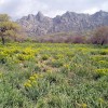 2007.04.01. - Samothraki